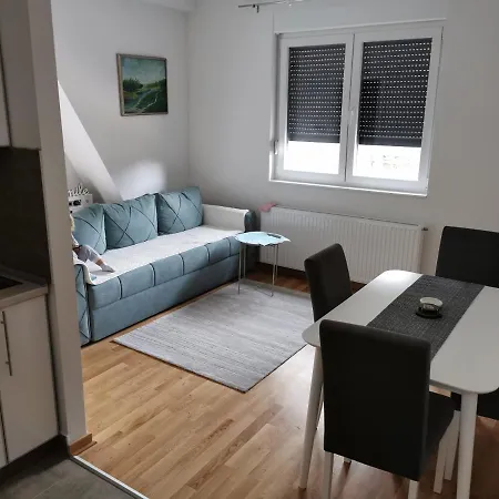Apartman Divcigora Sokic Divčibare Εξωτερικό φωτογραφία